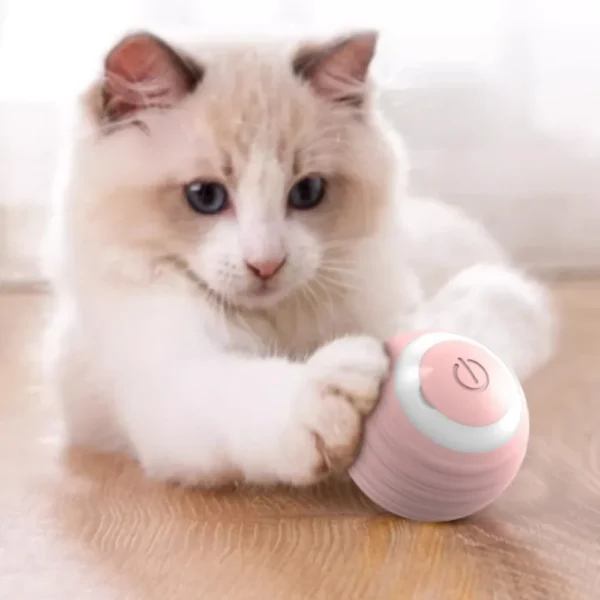 Smart Cat Rolling Ball Toys Rechargeable Cat Toys Ball Motion Ball Self-moving Kitten Toys for Indoor Interactive Playing 고양이 - Image 2