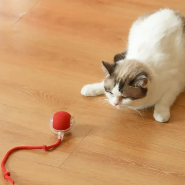 Smart Cat Rolling Ball Toys Rechargeable Cat Toys Ball Motion Ball Self-moving Kitten Toys for Indoor Interactive Playing 고양이 - Image 6